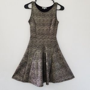 Metallic Gold Black Skater Dress
